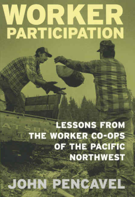 Cover image of the book Worker Participation