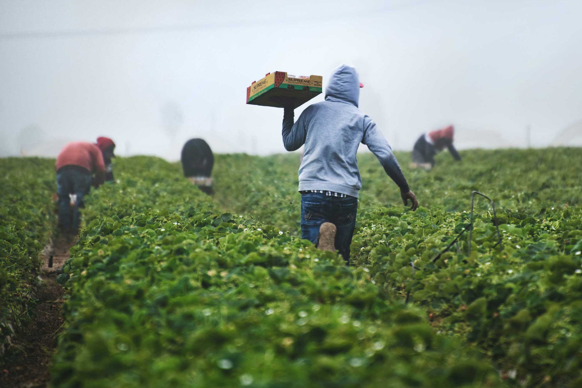 Economic Mobility and Systemic Inequality