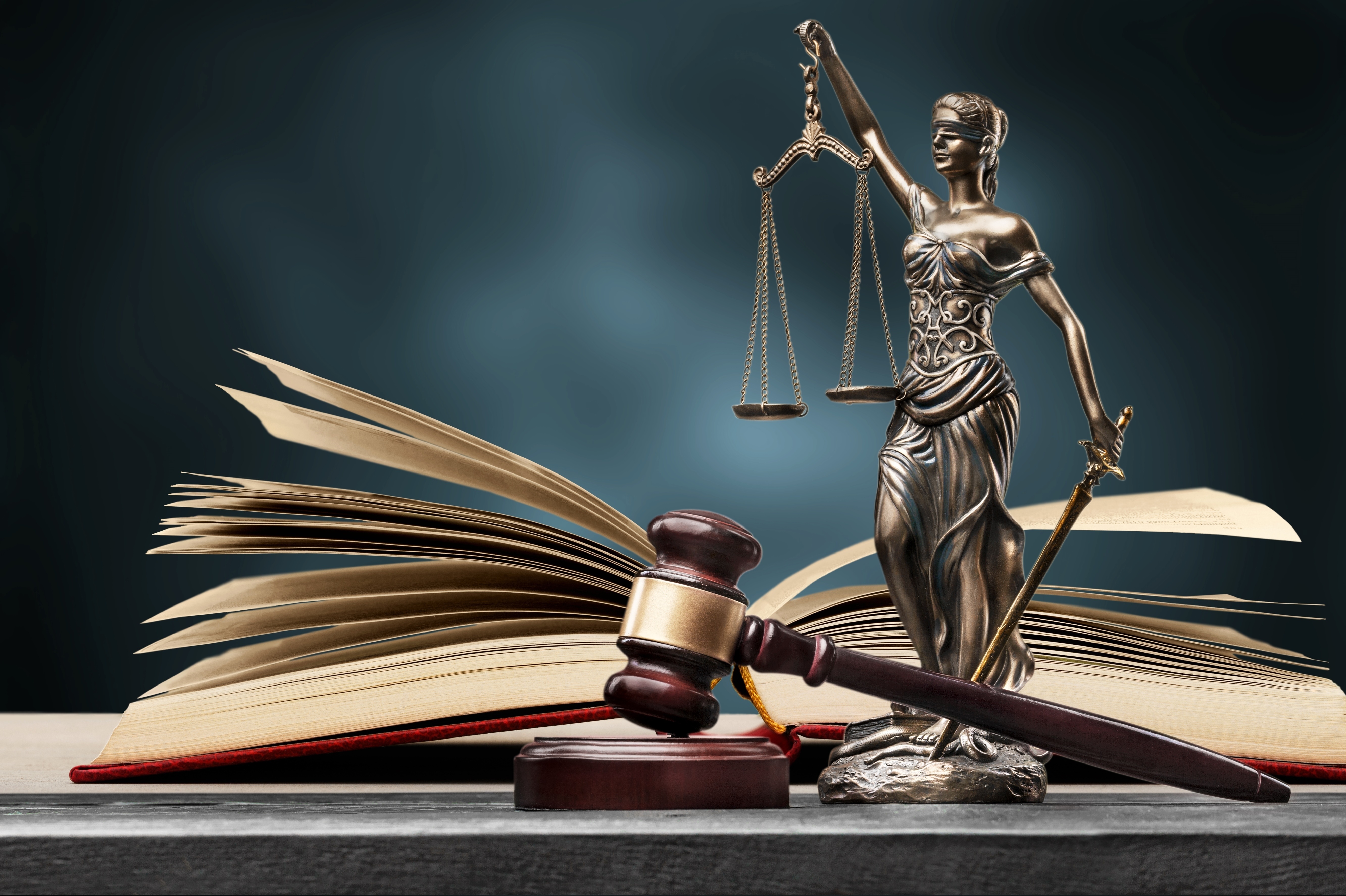 Early Career Criminal Justice Grants