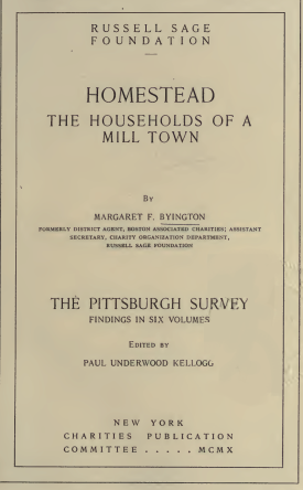 Cover image of the book Homestead