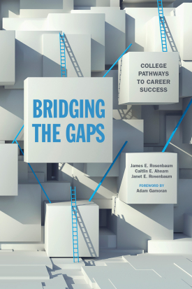 Cover image of the book Bridging the Gaps