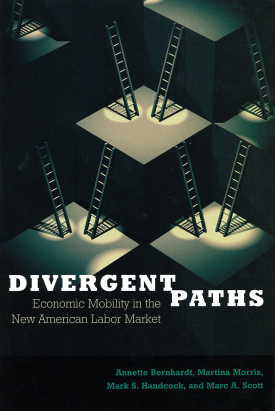 Cover image of the book Divergent Paths