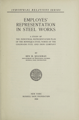 Cover image of the book Employes’ Representation in Steel Works