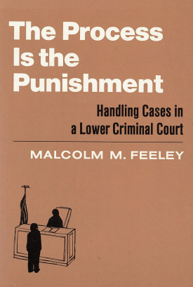 Cover image of the book The Process is the Punishment