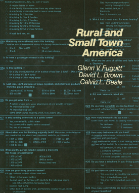 Cover image of the book Rural and Small Town America