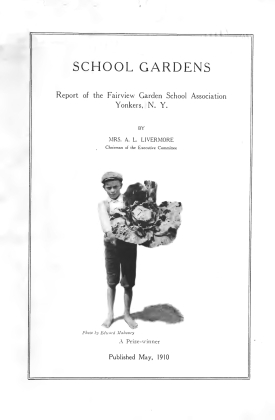 Cover image of the book School Gardens