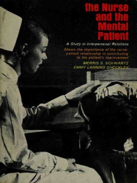 Cover image of the book The Nurse and the Mental Patient