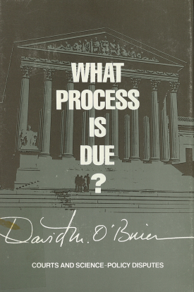 Cover image of the book What Process Is Due?