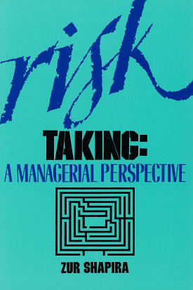 Cover image of the book Risk Taking