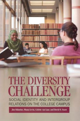 Cover image of the book The Diversity Challenge