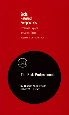 Cover image of the book The Risk Professionals