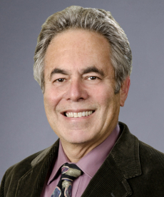 Picture of Peter Gourevitch
