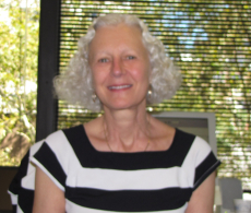 Picture of Ann Swidler