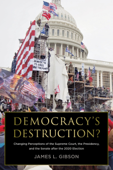 Cover image of the book Democracy's Destruction?
